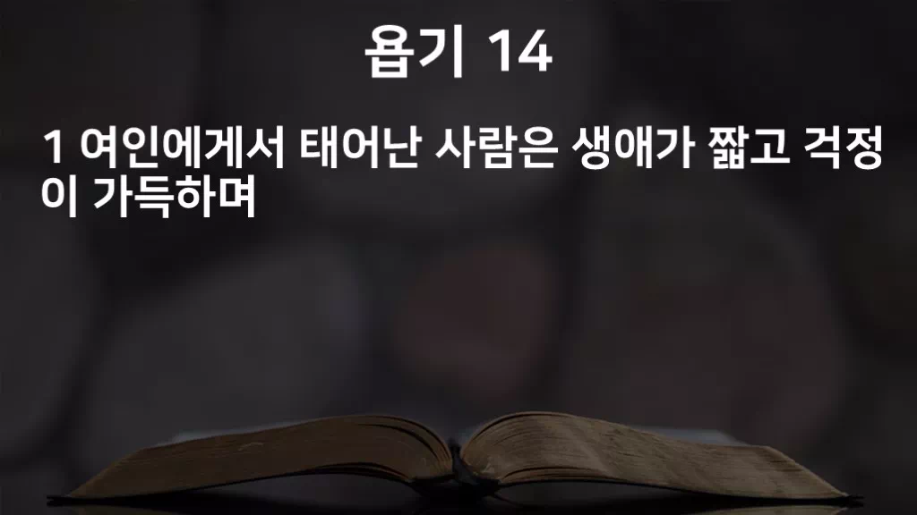 =C451&